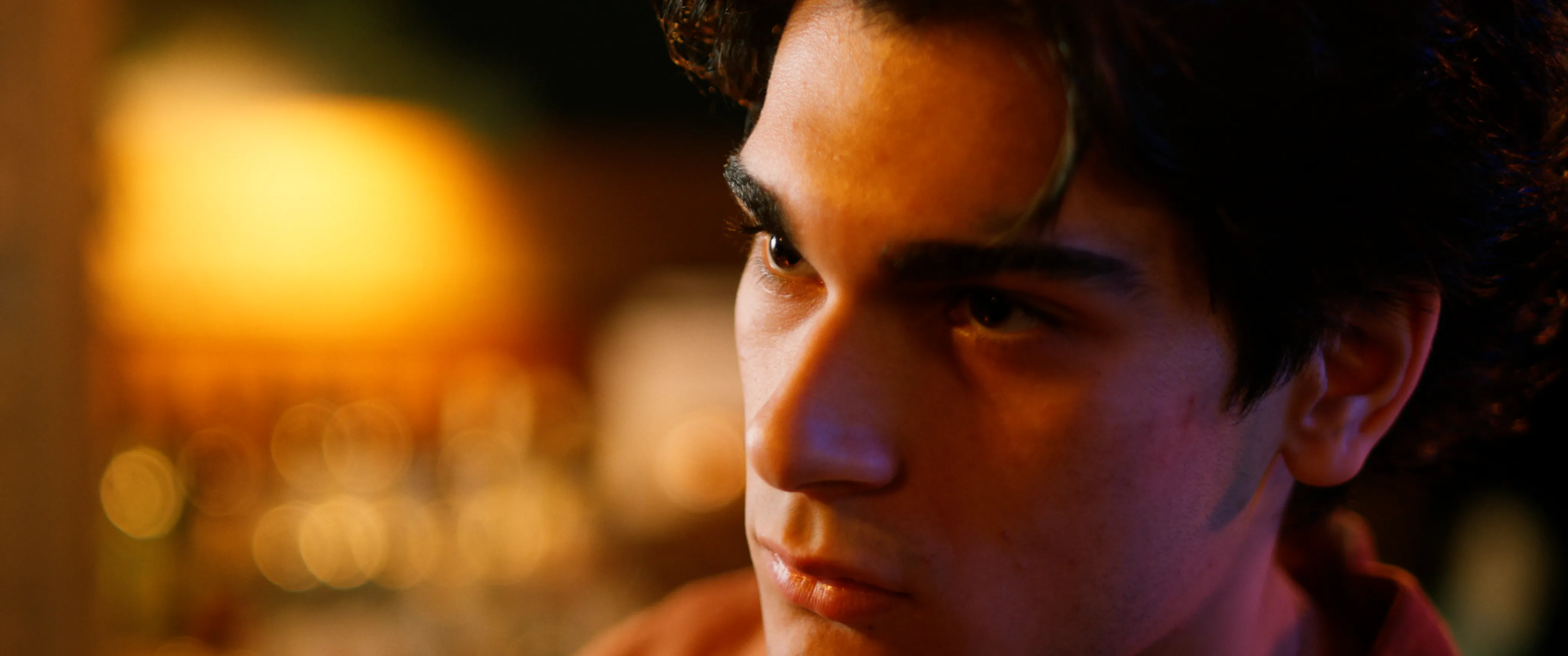 A close-up in warm amber light.